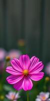 Vibrant pink flower stands out against a blurred green background in a garden during springtime photo