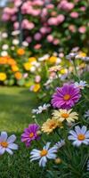 Colorful spring flowers bloom in a vibrant garden filled with daisies and various blossoms during a sunny afternoon photo
