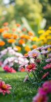 Colorful garden blooms showcasing vibrant flowers in a lush setting during a sunny day photo