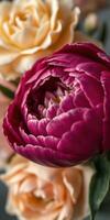 Purple peony bloom surrounded by soft peach roses in a floral arrangement photo