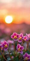 Vibrant flowers bloom under a sunset sky, creating a colorful landscape filled with life photo