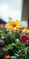 Bright yellow flower blooming among colorful blossoms in a garden under a clear sky photo