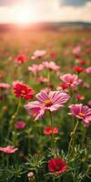 Colorful wildflowers bloom during sunset in a vibrant field showcasing nature's beauty and serenity photo
