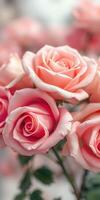 Beautiful pink roses arranged in a delicate bouquet showcasing their intricate petals and soft colors photo