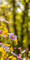 Vibrant wildflowers bloom amidst greenery in a sunlit natural setting during springtime photo
