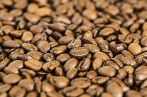 Coffee beans macro photo as background.