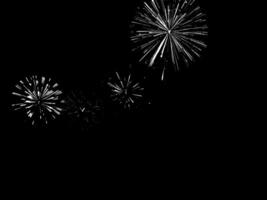 Fireworks on black background vector