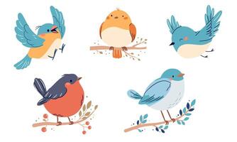 A set of flat illustrations in a simple children's style. Cute birds sitting on branches and flying, white background vector