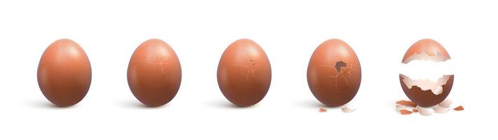 Realistic broken egg with cracks and shell pieces vector