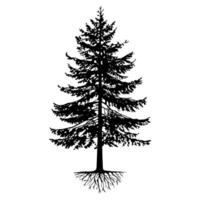 Black Trees and root with leaves look beautiful and refreshing. vector