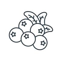 cranberry icons symbol elements for infographic web vector