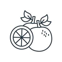 Grapefruit icons symbol elements for infographic web vector