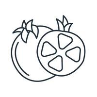 Pomegranate icons symbol elements for infographic web vector