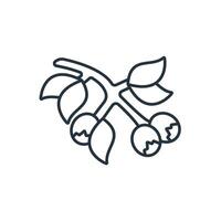 berries icons symbol elements for infographic web vector