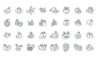 Fruits icons set . Fruits pack symbol elements for infographic web vector