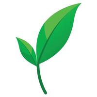 Single Leaf from a Lucky Bamboo Plant - Flat Illustration vector