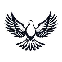 Dove Pigeon Bird Flying Front View Line art Hand-drawn illustration. vector