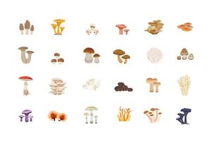 Illustration set of various types of mushrooms, suitable for vegetable shops and gardens, both for posters and web icons. vector