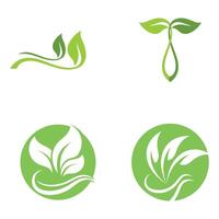 Four green leaves and leaves in a circle vector