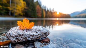 vibrant autumn landscape featuring colorful leaf on rock by water photo