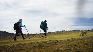 Active Rest In Mountains, Two Tourists Climbing At Mount Top, Slow Motion, Female Travelers Hiking video