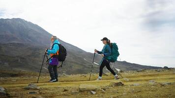 Group Touristic Tour In Mountains, Adventure In Highlands, Women Tourists Walking On Path Together video