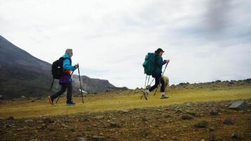 Group Of Hikers Traveling In Mountains, Two Women And Funny Dog Walking On Slope, Climbing Mount video