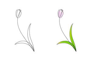 Tulips in linear and color version in minimal. Hand drawn spring flower. Beauty floral illustration. vector