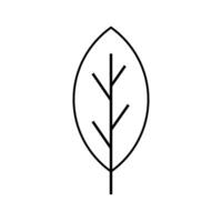 simple leaf icon vector