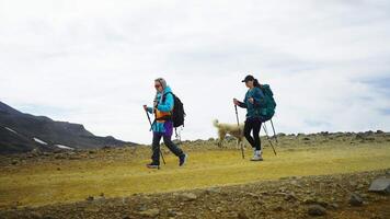 Active Female Hikers Walking Together In Highlands, Traveling To Mountains, Amazing Cloudscape video