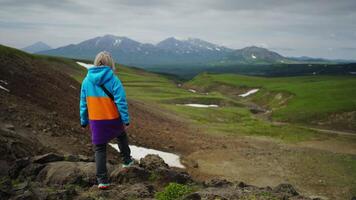 Roaming Highlands, Admiring Awe-Inspiring Scenery, Ecotourism, Back View Of Female Tourist video
