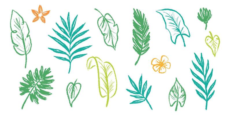 Palm leaf hand drawn crayon brush illustration. Foliage green tropical jungle leaves monstera, banana tree leaf texture silhouette elements. Hand drawn grunge black texture.