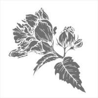 Silhouette botanical illustration of flower with leaves. Hand-drawn floral element with a bush branch. Perfect for creating graphic resource in inversion style and packaging designs. vector