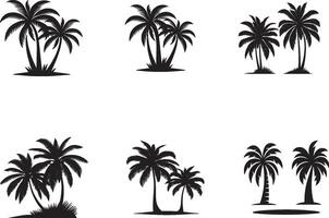 Coconut Tree Silhouette vector