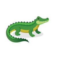 Alligator isolated flat illustration on white background vector