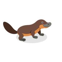 Platypus isolated flat illustration on white background vector