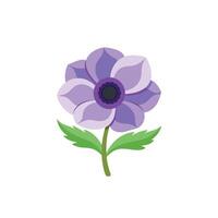 Anemone flower isolated flat illustration on white background vector