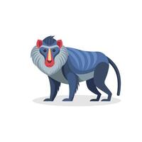 Mandrill isolated flat illustration on white background. vector