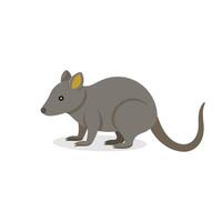 Shrew isolated flat illustration on white background. vector