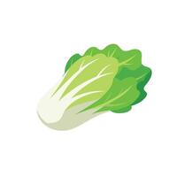 The falling Chinese cabbage isolated flat illustration on white background vector