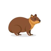 Hyrax isolated flat illustration on white background. vector