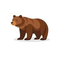 Grizzly Bear isolated flat illustration on white background. vector