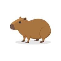 Capybara isolated flat illustration on white background vector