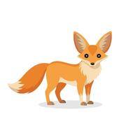 Fennec Fox isolated flat illustration on white background. vector