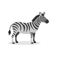 Zebra isolated flat illustration on white background vector