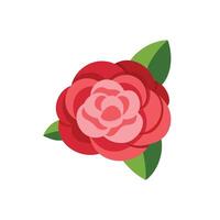 Camellia flower isolated flat illustration on white background vector