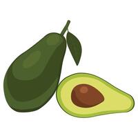 a drawing of an avocado and avocado. vector