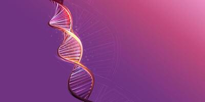 DNA double helix model on a purple background. vector