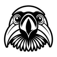 An eagle head with a beak and long beak vector