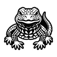 A lizard is shown in a black and white drawing vector